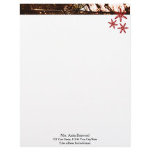 Biologische sneeuwvlokken Seizoensgebonden Kerstmi