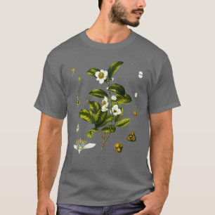 Biologische tekenCamellia Sinensis plant T-shirt