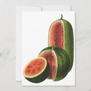 Biologische watermeloenen hoog rond, biologisch vo