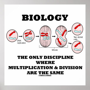Biology Only Discipline Multiplication Division Poster