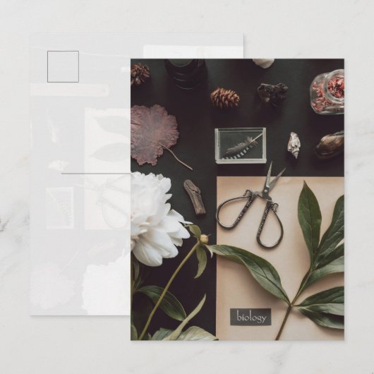 Biology science Flat Lay Academia Briefkaart (Voorkant / Achterkant)
