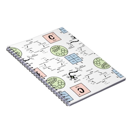 Biology Science Teacher Pattern Genetics Cell Geek Notitieboek (Rechterzijde)