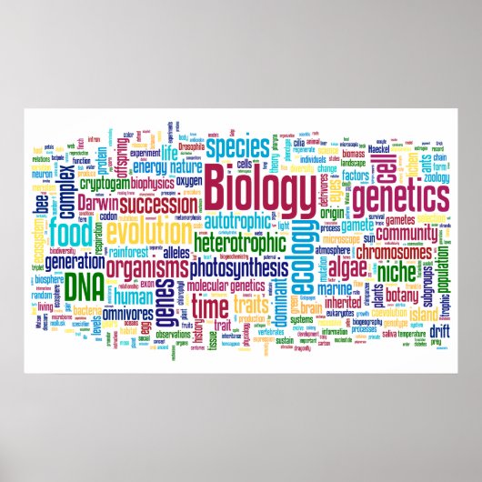 Biology Wordle No. 13 Poster (Voorkant)