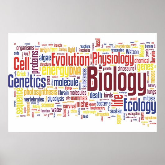 Biology Wordle No. 4 Poster (Voorkant)