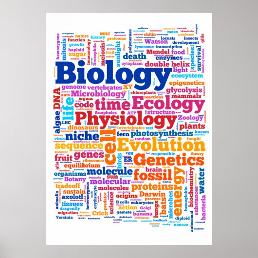 Biology Wordle No. 7 Poster (Voorkant)