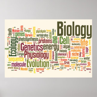 Biology Wordle No. 9 Poster