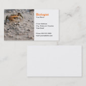 Bioloog Visitekaartje (Voorkant / Achterkant)