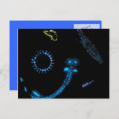 bioluminescente criteria briefkaart (Voorkant / Achterkant)