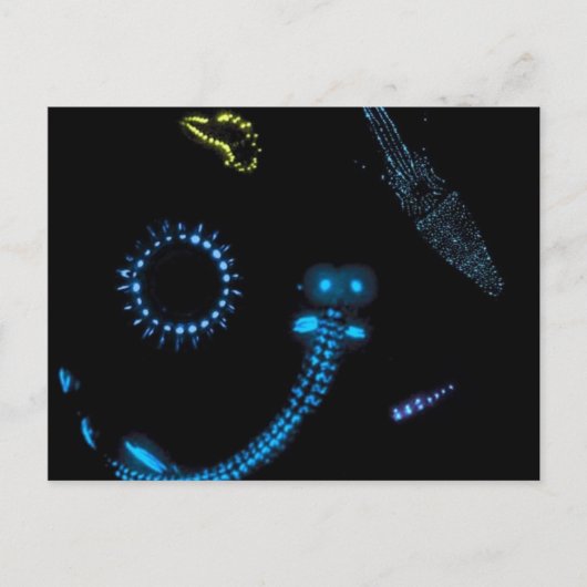 bioluminescente criteria briefkaart (Voorkant)