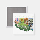 Biome Seizoenen Magneet (Voorkant / Achterkant)