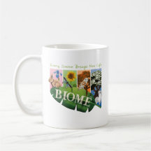 Biome Seizoenen Mok