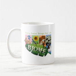 Biome Seizoenen Mok