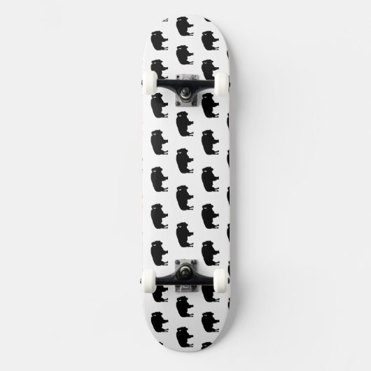 bionpatroon skateboard (Voorkant)