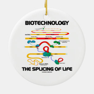 Biotechnologie de vorming van het leven (natuurlij keramisch ornament