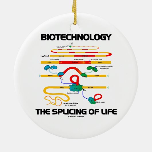 Biotechnologie de vorming van het leven (natuurlij keramisch ornament (Achterkant)
