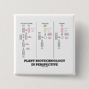 Biotechnologie van plant in perspectief (transgene vierkante button 5,1 cm