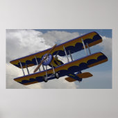 BiPlaneFlying Poster (Voorkant)