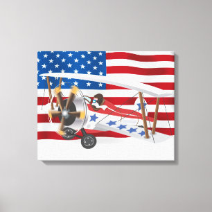 Biplanes USA Canvas Afdruk