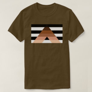 BIPOC Ally Flag T-shirt