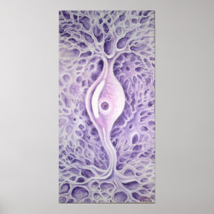 Bipolair neuron poster