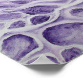 Bipolair neuron poster (Hoek)