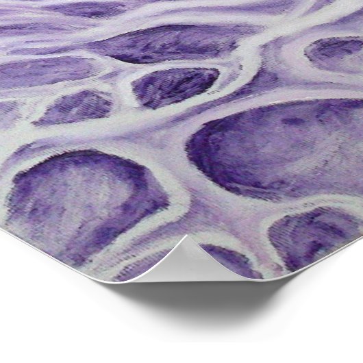 Bipolair neuron poster (Hoek)