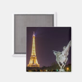 Bir-Hakeimbrug 's nachts - Parijs, Frankrijk Magneet (Voorkant / Achterkant)