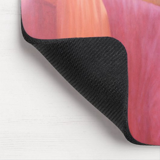 Bir Trio Muismat (Hoek)