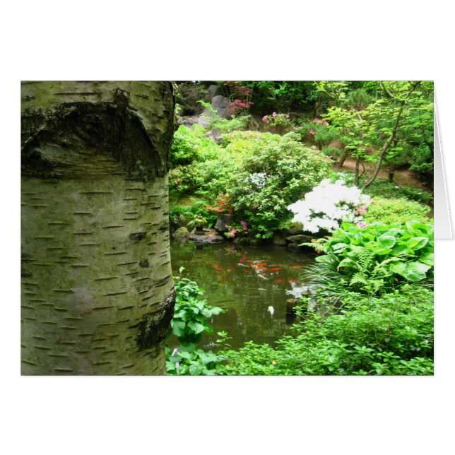 Birch (Voorkant Horizontaal)