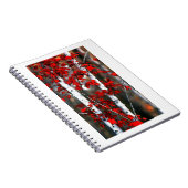 Birch#2-notebook Notitieboek (Rechterzijde)