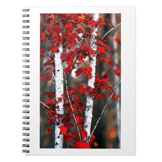 Birch#2-notebook Notitieboek (Voorkant)