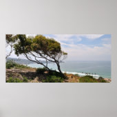 Birch Aquarium Panorama Poster (Voorkant)