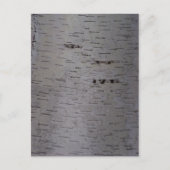 Birch Bark Briefkaart (Voorkant)
