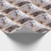 Birch Bark Cadeaupapier (Hoek)