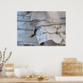 Birch Bark Poster (Keuken)