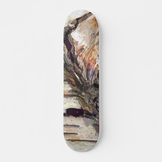 BIRCH BARK SKATEBOARD (Voorkant)