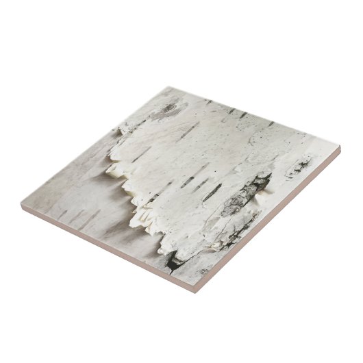 Birch Bark Tegeltje (Zijkant)