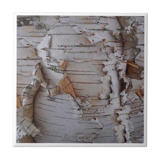 Birch Bark Tegeltje (Voorkant)