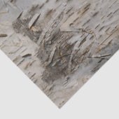 Birch Bark Tissuepapier (Detail)