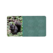 Birch Bay Eekhoorn Etiket (Voorkant)