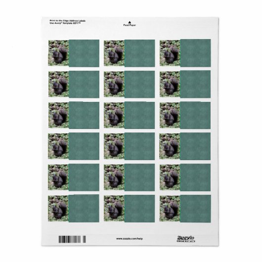 Birch Bay Eekhoorn Etiket (Full Sheet)