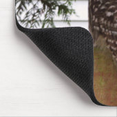 Birch Bay Owl Muismat (Hoek)