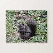 Birch Bay Squirrel Legpuzzel (Horizontaal)