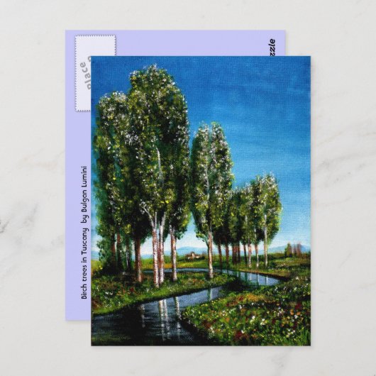 BIRCH BOMEN IN TUSCANY BRIEFKAART (Voorkant / Achterkant)