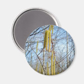 Birch Catkins Magnet (Voorkant / Achterkant)