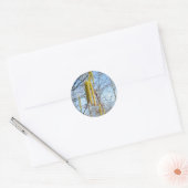 Birch Catkins Stickers (Envelop)