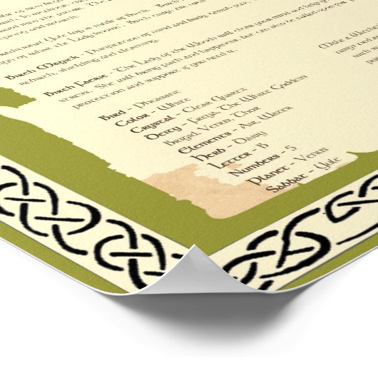 BIRCH CELTISCH SACRED TREE POSTER (Hoek)