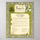 BIRCH CELTISCH SACRED TREE POSTER (Voorkant)