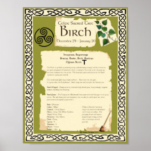BIRCH CELTISCH SACRED TREE POSTER