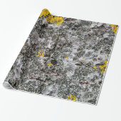 Birch en Lichen Cadeaupapier (Uitgerold)